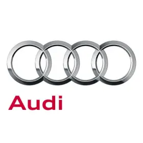 Audi 8b3-955-101 Genuine Pressure Cylinder