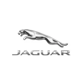 Jaguar T2r53681 Genuine Washer Pump