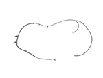 Genuine Mopar Windshield Washer Hose 68285294aa. Fixed Price $43.25.